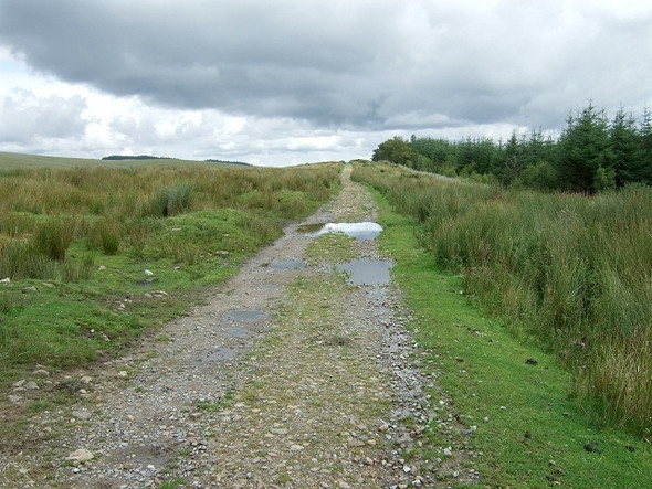 Photo 6"x4" Sarn Helen Roman Road, Coed y Rhaiadr Coelbren c2008