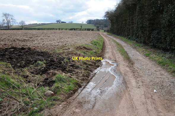 Photo 6"x4" Farmland track Bodenham Moor c2013