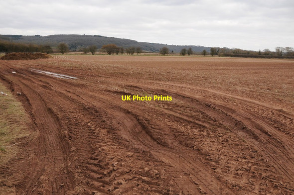 Photo 6"x4" Arable land in the Lugg valley Wellington\/SO4948 c2013