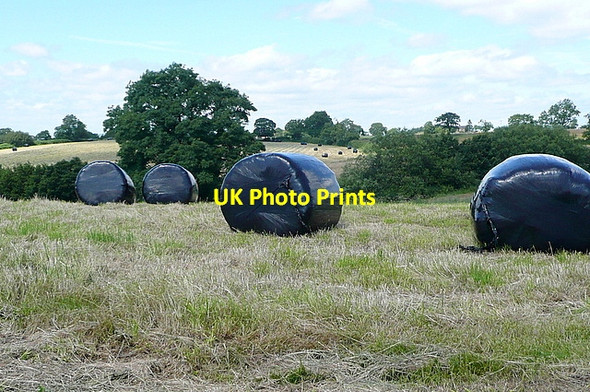 Photo 6"x4" Grass safely baled Crich Carr c2012