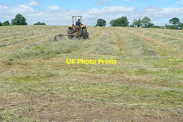 Photo 6"x4" Gathering the harvest Crich Carr c2012 P1