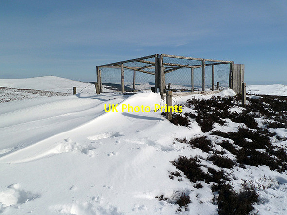 Photo 6"x4" A crow trap on Foulshiels Hill Broadmeadows\/NT4130 c2013