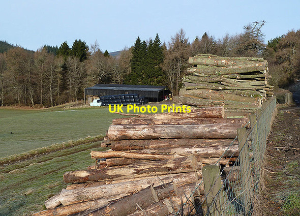 Photo 6"x4" A log pile by the A708 Broadmeadows\/NT4130 c2013