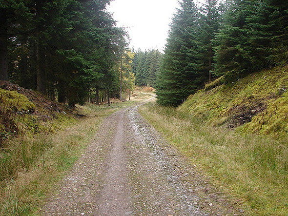 Photo 6"x4" Corrour estate road through woodland beside Loch Ossian Loch Ossian\/NN4068 c2006