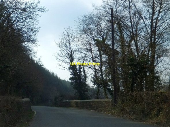 Photo 6"x4" Bridge over River Lew north-west of Lew Wood Cross Roads\/SX4586 c2013