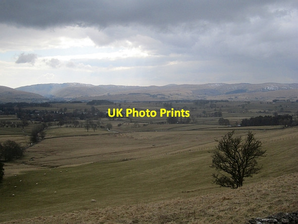 Photo 6"x4" Orton Scar Orton\/NY6208 c2013