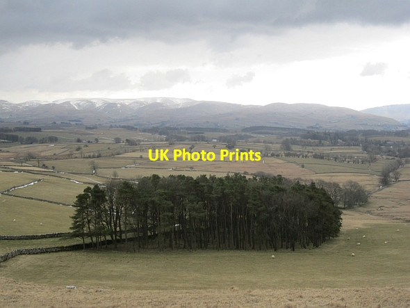Photo 6"x4" Pine wood, Orton Scar Orton\/NY6208 c2013