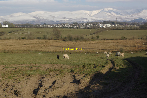 Photo 6"x4" Farmland near Star Llanfair Pwllgwyngyll c2013