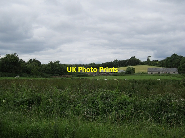 Photo 6"x4" Farmland, Pettigo Pettigoe c2012