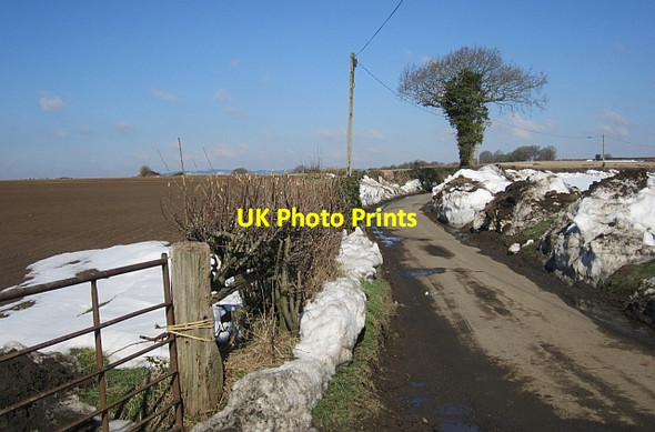 Photo 6"x4" Meaton Lane Far Forest c2013