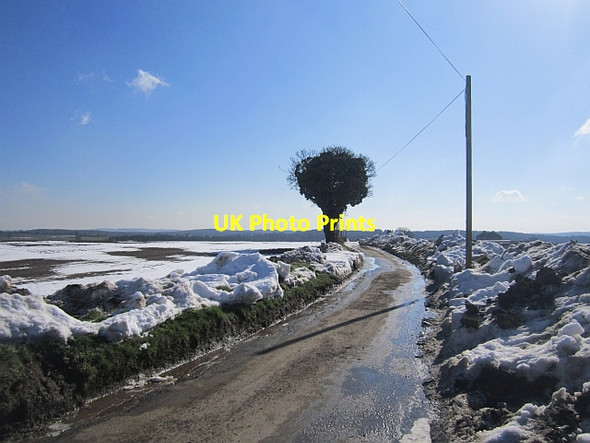 Photo 6"x4" Meaton Lane Far Forest c2013