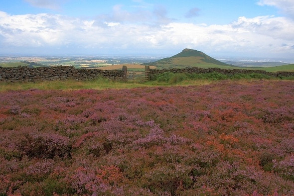 Photo 6"x4" Roseberry Topping from Great Ayton Moor Hutton Village c2008
