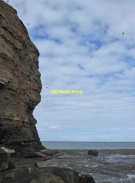 Photo 6"x4" North corner of Cowbar Nab Staithes c2013