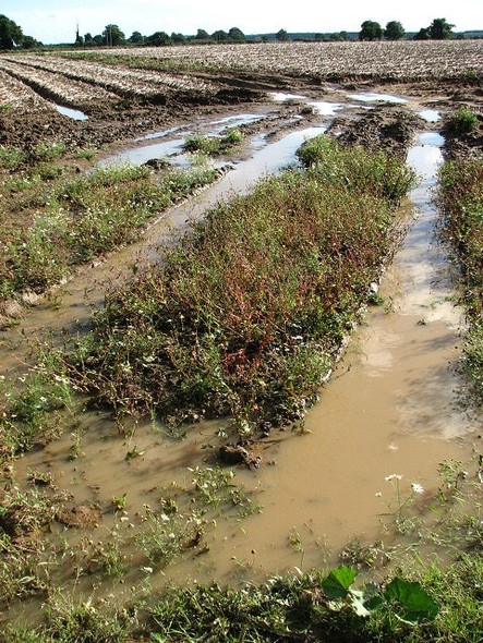 Photo 6"x4" A soggy field entrance Great Plumstead c2008