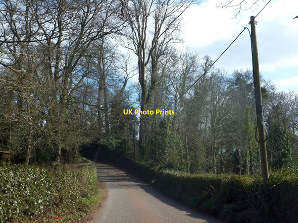Photo 6"x4" Barn Wood on Stoke Gabriel Road Waddeton c2013