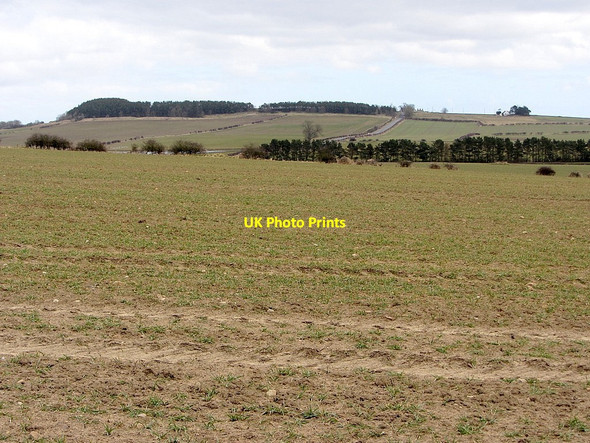 Photo 6"x4" Arable land south of Military Road Harlow Hill\/NZ0768 c2013
