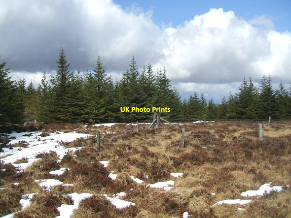 Photo 6"x4" Regal Hill Regal Hill c2013