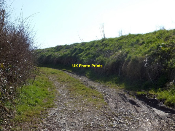 Photo 6"x4" Track leading off Perry Lane Mile End\/SX8372 c2013