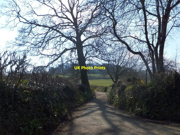 Photo 6"x4" Denbury Down from Denbury Down Cross Wotton Cross\/SX8069 c2013
