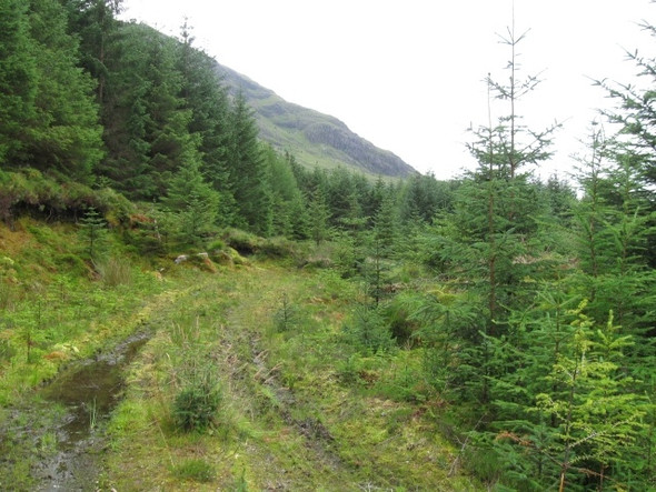 Photo 6"x4" End of track, below Fraochaidh Coire Dubh\/NN0252 c2008