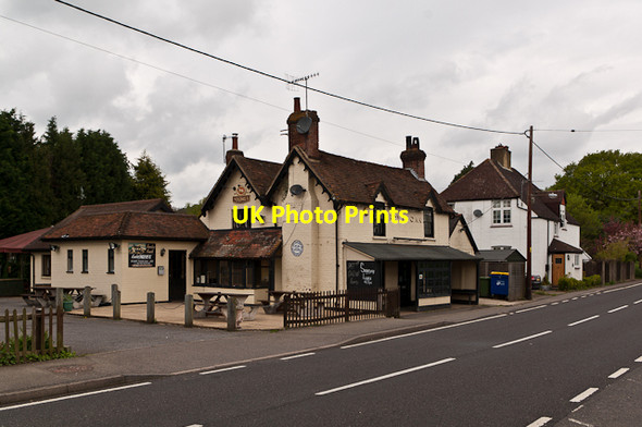 Photo 6"x4" Royal Oak Dorking c2012