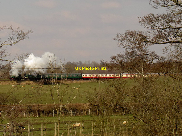 Photo 6"x4" Bluebell train heading north-west Scayne's Hill c2013