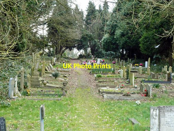Photo 6"x4" In St. Pancras and Islington Cemetery Finchley c2013