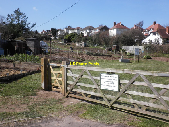 Photo 6"x4" Poundfield Road Allotments, Minehead Minehead c2013