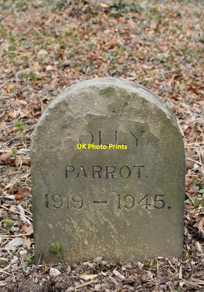 Photo 6"x4" Polly Parrot in the Pet Cemetery at Brodsworth Hall Brodsworth c2013