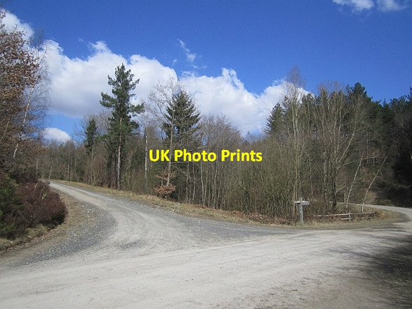 Photo 6"x4" Road junction, Wyre Forest Buttonoak c2013