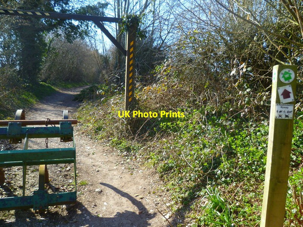 Photo 6"x4" Restricted byway with restriction near New Alresford New Alresford c2013