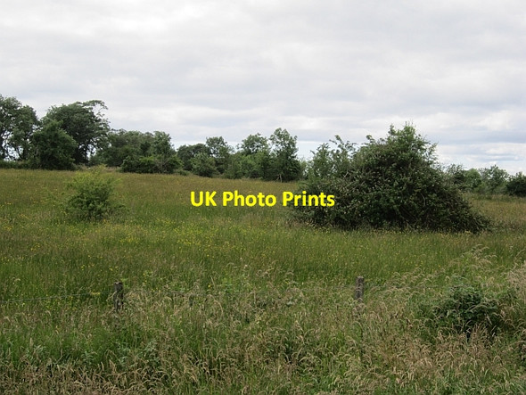 Photo 6"x4" Hay meadow, Farrancassidy Belleek c2012