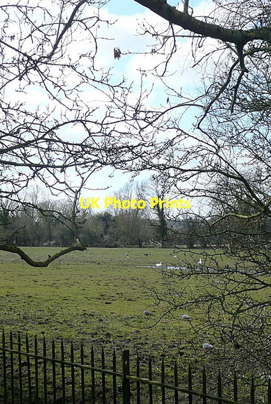 Photo 6"x4" Hinksey Meadows Oxford\/SP5106 c2013