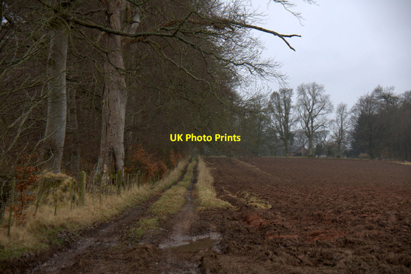 Photo 6"x4" Track near Caddam, Coupar Angus Coupar Angus c2013