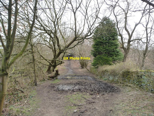 Photo 6"x4" Brandon Lane alongside Burble Well Wike c2013