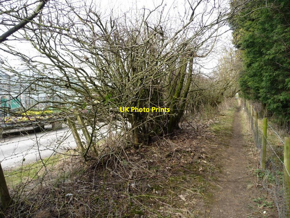 Photo 6"x4" Footpath to Brandon Lane Shadwell\/SE3439 c2013
