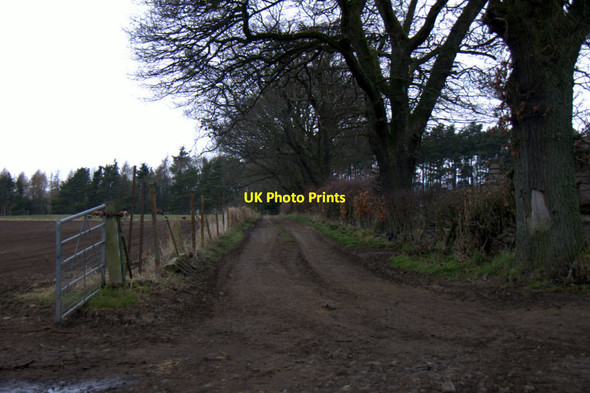 Photo 6"x4" Farm track at Laystone, near Coupar Angus Burrelton c2013