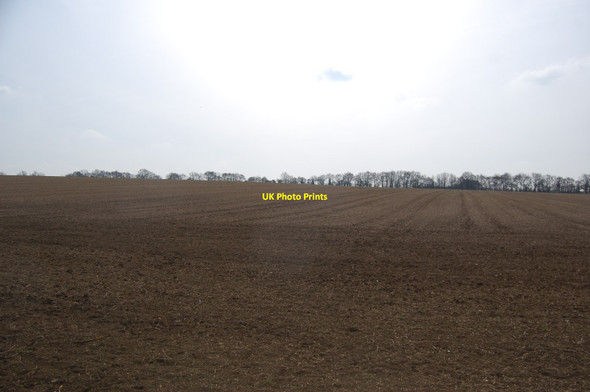 Photo 6"x4" Field south of Leaden Roding Margaret Roding c2013