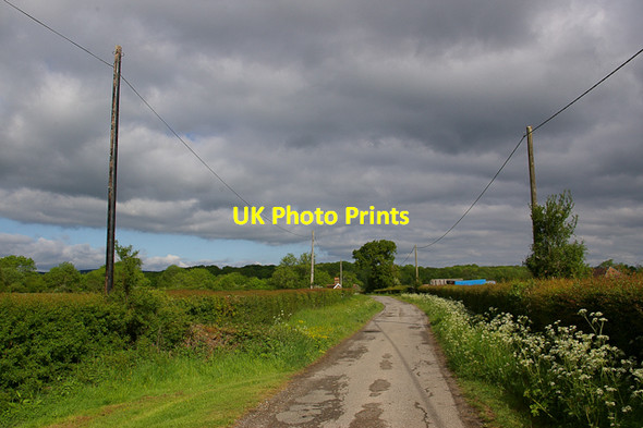 Photo 6"x4" Ewood Lane Parkgate\/TQ2043 c2010