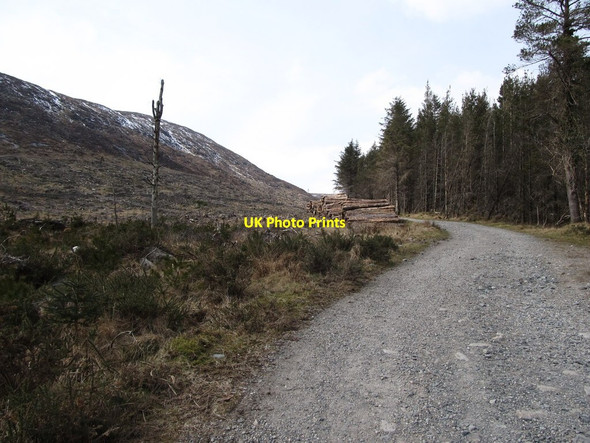 Photo 6"x4" Forest road in the col between Slievenamaddy and Drinnahilly Newcastle\/J3732 c2013