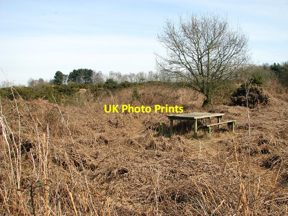 Photo 6"x4" Picnic table at Toby's Walks Blythburgh c2013