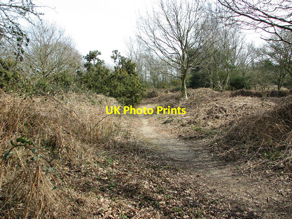 Photo 6"x4" Path at Toby's Walks Blythburgh c2013