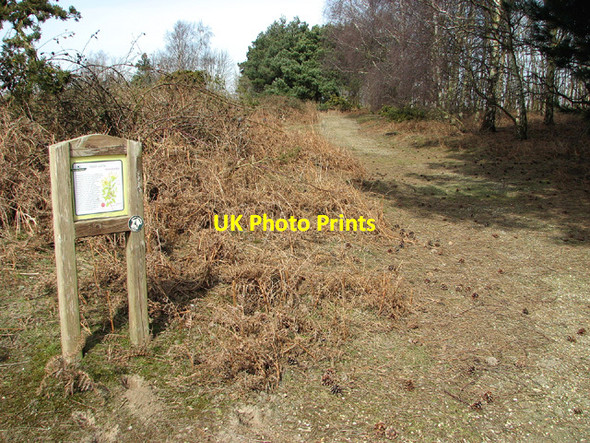 Photo 6"x4" Information board beside a path at Toby's Walks Blythburgh c2013