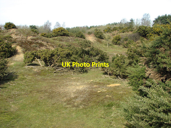 Photo 6"x4" View across Toby's Walks Blythburgh c2013