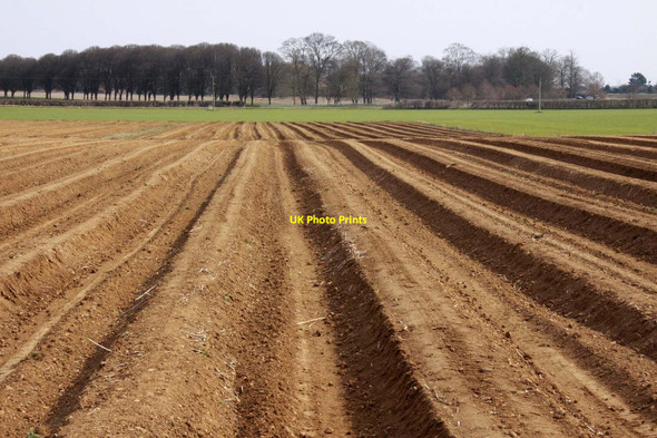 Photo 6"x4" Furrows at Peachcroft Farm Abingdon c2013
