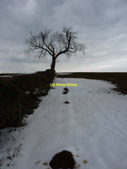 Photo 6"x4" Not quite on the footpath Bretby c2013