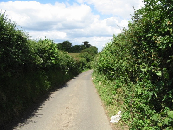 Photo 6"x4" View along Stonyway Lane Church Hougham c2008 P1