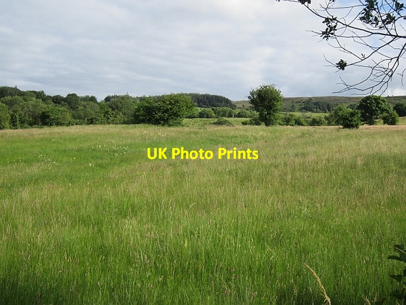 Photo 6"x4" Silage crop Rossinver c2012
