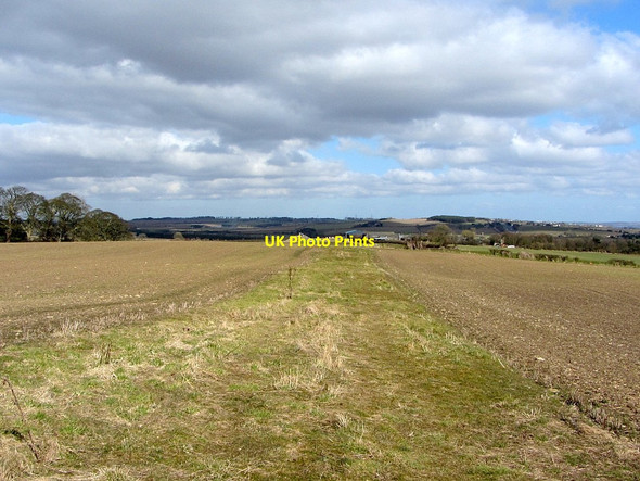 Photo 6"x4" Bridleway east of Old Nafferton Newton Hall\/NZ0365 c2013