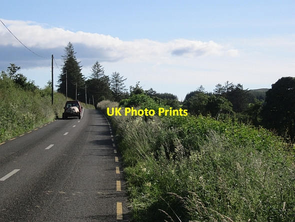 Photo 6"x4" R282 at Shasmore Mullies c2012